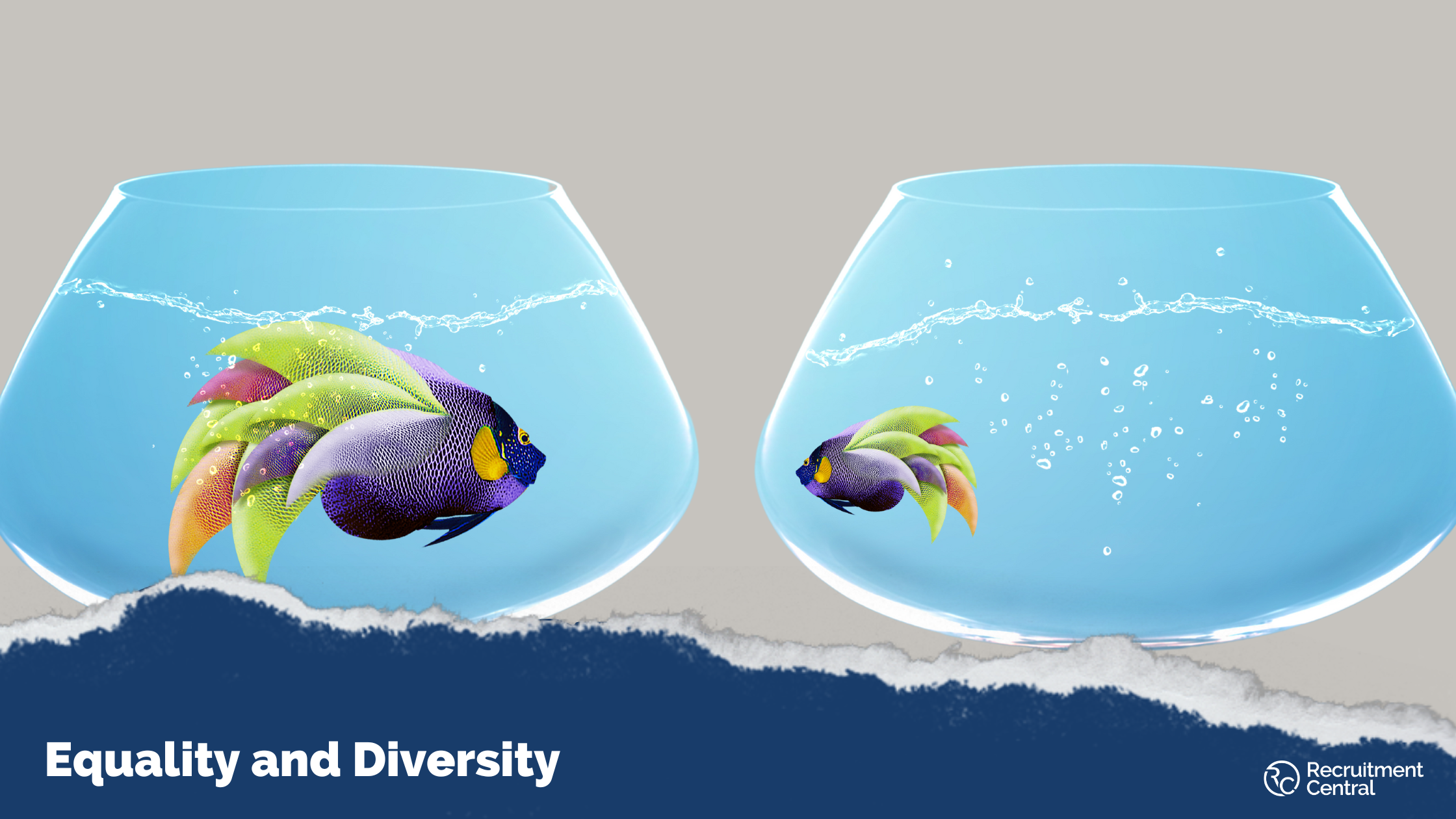 Read more about the article 5 Ways to ensure your workplace takes equality seriously
